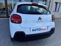Citroen C3 N1 1.5 Bluehdi 100cv Business 6M Autocarro 4 Posti Blanc - thumbnail 25