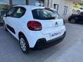 Citroen C3 N1 1.5 Bluehdi 100cv Business 6M Autocarro 4 Posti Blanc - thumbnail 34