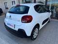 Citroen C3 N1 1.5 Bluehdi 100cv Business 6M Autocarro 4 Posti Blanc - thumbnail 29