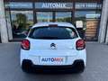 Citroen C3 N1 1.5 Bluehdi 100cv Business 6M Autocarro 4 Posti Blanc - thumbnail 23