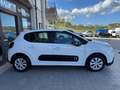 Citroen C3 N1 1.5 Bluehdi 100cv Business 6M Autocarro 4 Posti Blanc - thumbnail 21