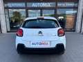 Citroen C3 N1 1.5 Bluehdi 100cv Business 6M Autocarro 4 Posti Blanc - thumbnail 30