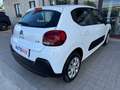 Citroen C3 N1 1.5 Bluehdi 100cv Business 6M Autocarro 4 Posti Blanc - thumbnail 28