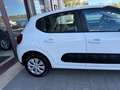 Citroen C3 N1 1.5 Bluehdi 100cv Business 6M Autocarro 4 Posti Blanc - thumbnail 20