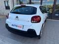 Citroen C3 N1 1.5 Bluehdi 100cv Business 6M Autocarro 4 Posti Blanc - thumbnail 35