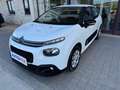 Citroen C3 N1 1.5 Bluehdi 100cv Business 6M Autocarro 4 Posti Blanc - thumbnail 17