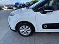 Citroen C3 N1 1.5 Bluehdi 100cv Business 6M Autocarro 4 Posti Blanc - thumbnail 15