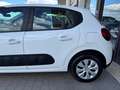 Citroen C3 N1 1.5 Bluehdi 100cv Business 6M Autocarro 4 Posti Blanc - thumbnail 13