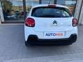 Citroen C3 N1 1.5 Bluehdi 100cv Business 6M Autocarro 4 Posti Blanc - thumbnail 31