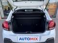 Citroen C3 N1 1.5 Bluehdi 100cv Business 6M Autocarro 4 Posti Blanc - thumbnail 38