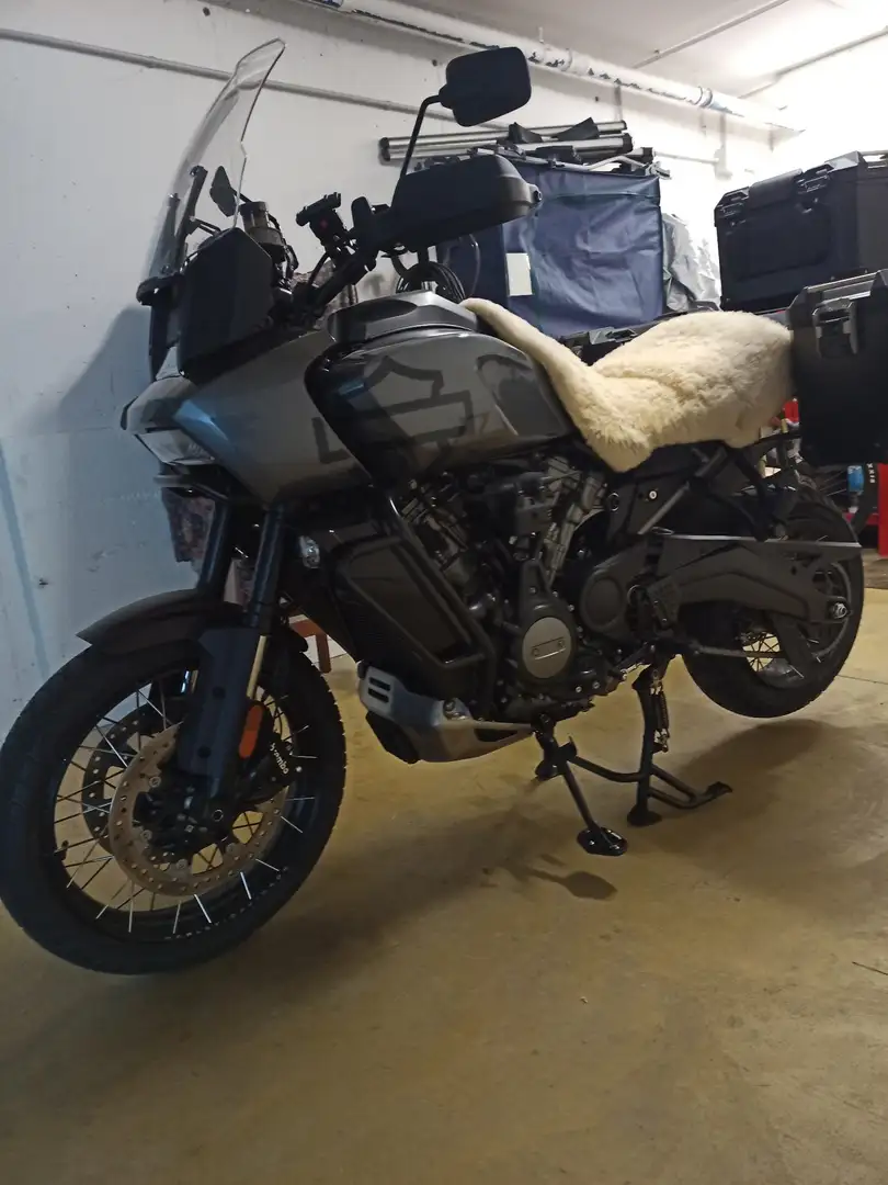 Harley-Davidson Pan America Special Gri - 1