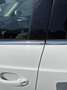 Audi Q3 2,0 TDI Offroad Daylight Weiß - thumbnail 9