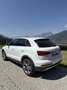Audi Q3 2,0 TDI Offroad Daylight Weiß - thumbnail 11