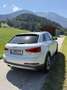 Audi Q3 2,0 TDI Offroad Daylight Weiß - thumbnail 12