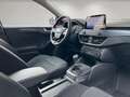 Ford Focus Active 1.0 EcoBoost AHK-abnehmbar Navi LED Apple C Gris - thumbnail 14