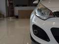 Kia Rio 1.2 CVVT 5p. EX Weiß - thumbnail 15