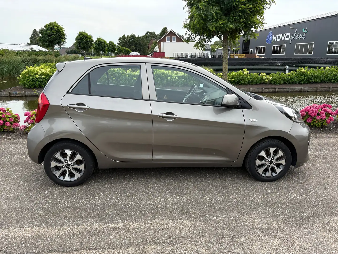 Kia Picanto 1.0 cvvt ecoplusline Gris - 2