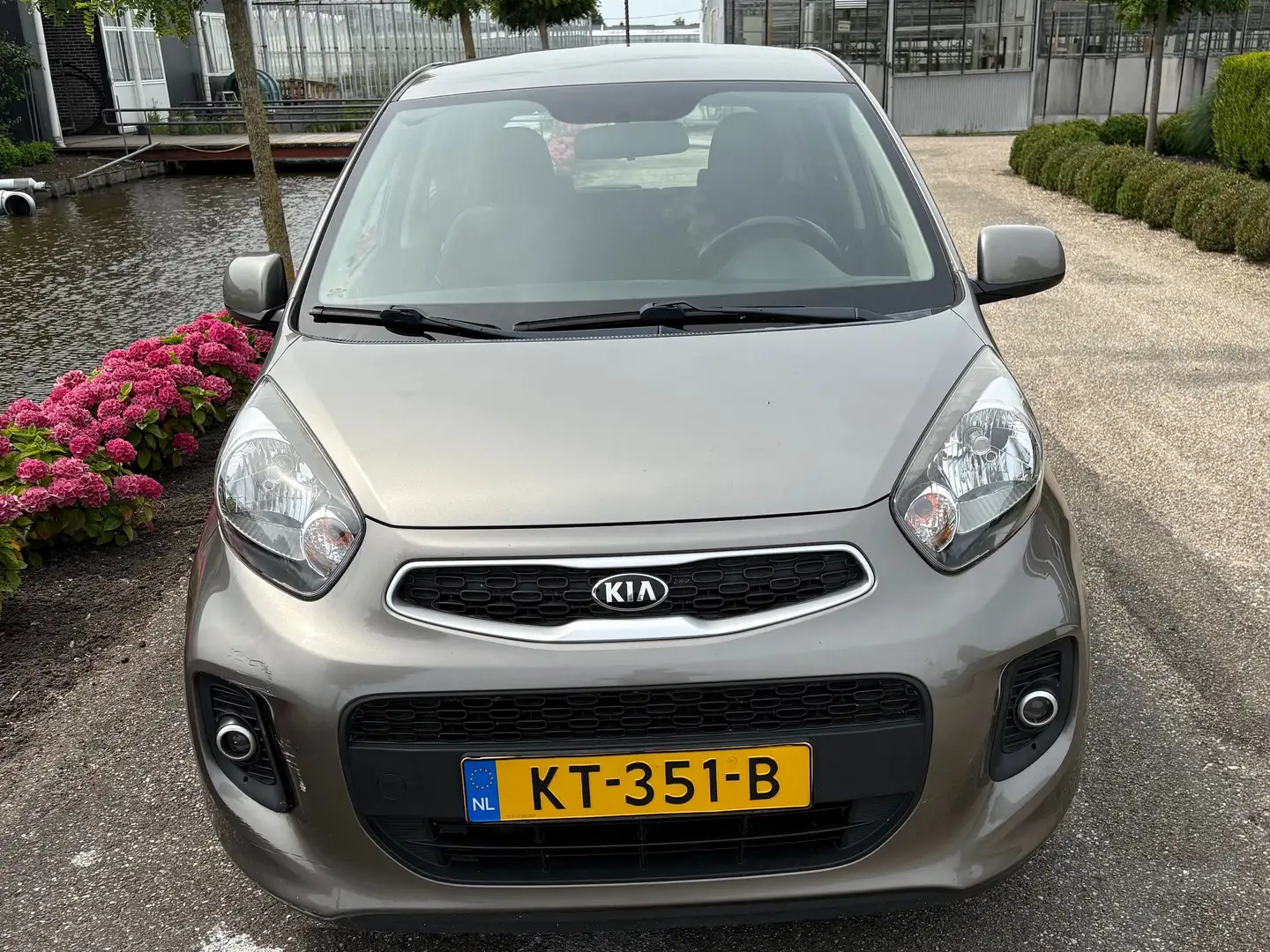 Kia Picanto 1.0 cvvt ecoplusline Gris - 1