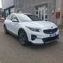 Kia XCeed 1.0 120 CV T-GDi GPL High Tech Bianco - thumbnail 2