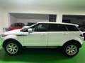 Land Rover Range Rover Evoque Land Rover Range Evoque 2.2 TD4 5p. Pure Blanc - thumbnail 9