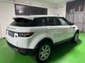 Land Rover Range Rover Evoque Land Rover Range Evoque 2.2 TD4 5p. Pure Blanc - thumbnail 6
