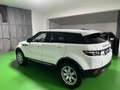 Land Rover Range Rover Evoque Land Rover Range Evoque 2.2 TD4 5p. Pure Blanc - thumbnail 8