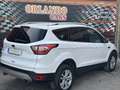 Ford Kuga 1.5TDCi Auto S&S Titanium 4x2 120 Blanco - thumbnail 8