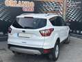 Ford Kuga 1.5TDCi Auto S&S Titanium 4x2 120 Blanco - thumbnail 9