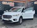 Ford Kuga 1.5TDCi Auto S&S Titanium 4x2 120 Blanco - thumbnail 11