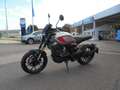 Motobi DL125 Cafe Racer AUCH ZU MIETEN Argent - thumbnail 2