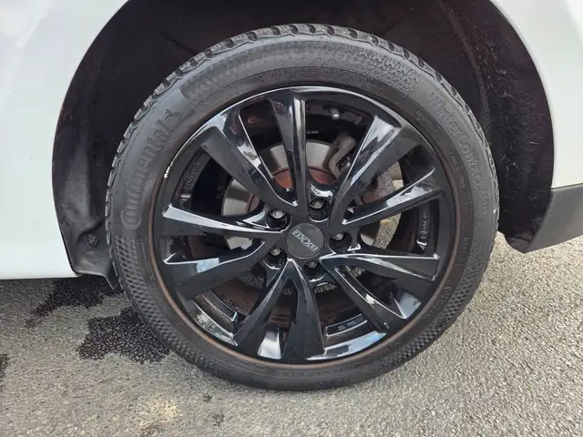 Renault Scenic view 23