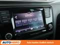 Skoda Rapid/Spaceback 1.4 TSI Clever Aut.*PDC*SHZ*TEMPO*AHK*ALU* Blau - thumbnail 21