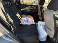 Nissan X-Trail Tekna 1.6 dCi 130 Gris - thumbnail 23