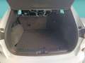 Ford Kuga 2.5 Duratec PHEV ST-Line X 4x2 Blanco - thumbnail 20