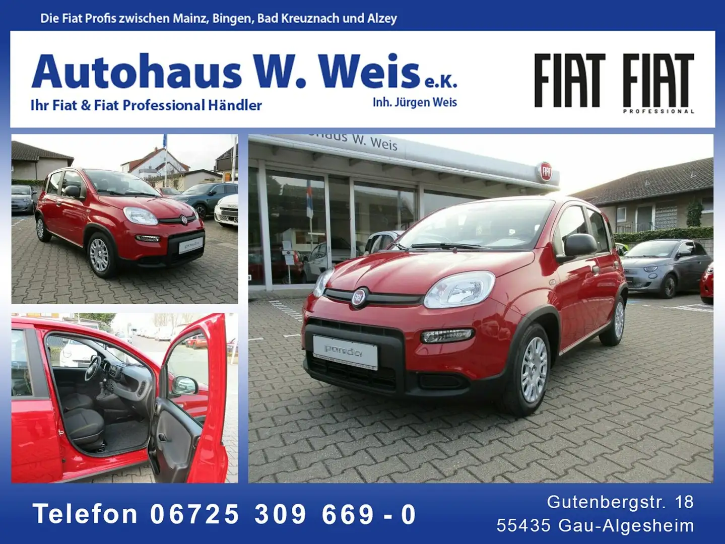Fiat Panda 1,0 GSE Hybrid Rojo - 1