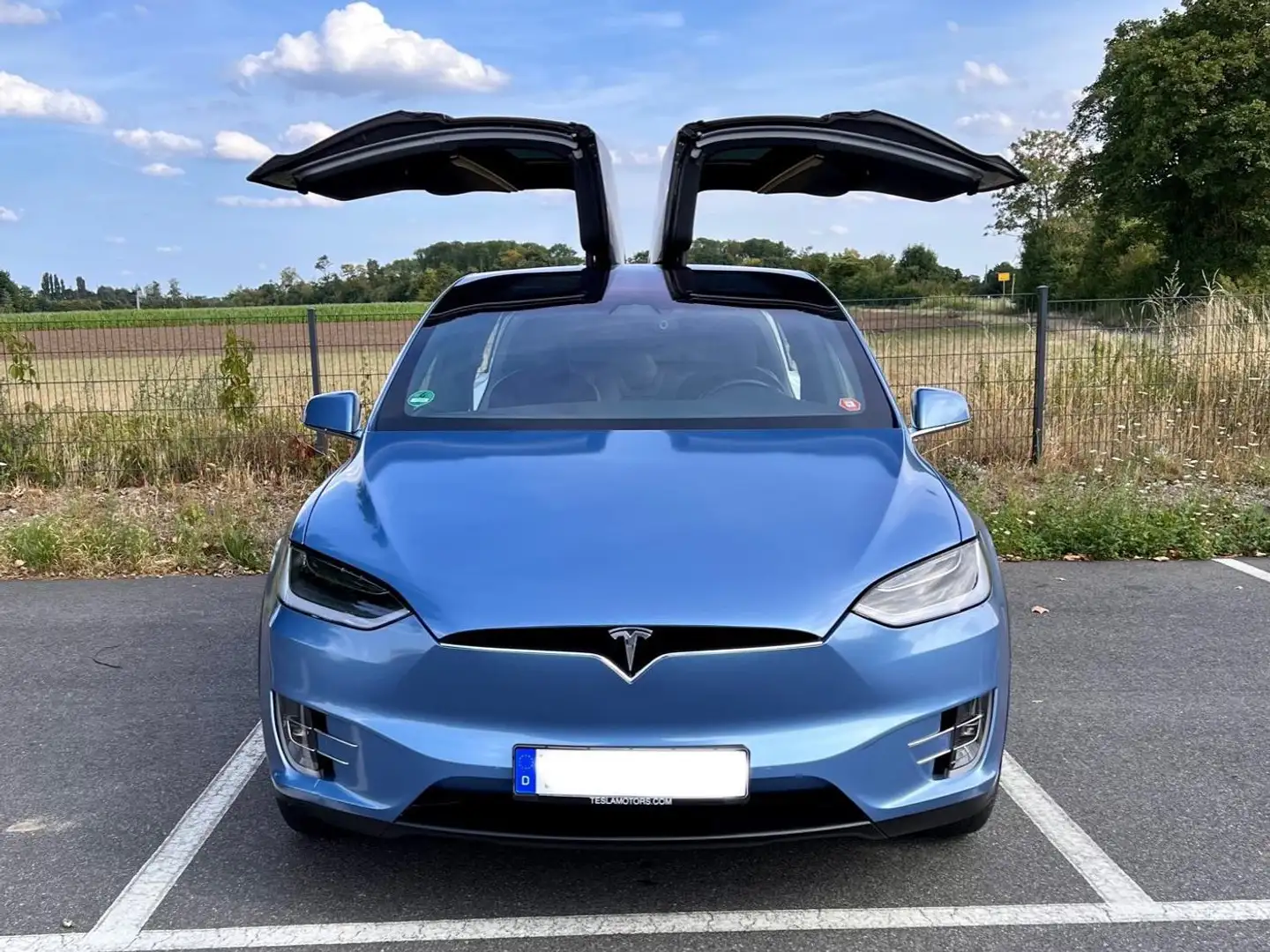Tesla Model X Model X 100D Allradantrieb Blauw - 1