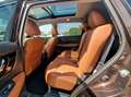 Nissan X-Trail 2.0 dCi 4WD Tekna Xtronic 177cv Bronzo - thumbnail 12