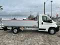 Citroen Jumper 35 HEAVY L4 140CV BlueHdi CASSONE SPONDA Blanc - thumbnail 4