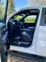Dodge RAM 1500 CrewCab - Luft -  Gas 180 l - Pano - Tailgate Weiß - thumbnail 11