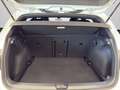 Volkswagen Golf VIII 1.5 eTSI Style DSG NAVI HUD PANO MATRI Weiß - thumbnail 15