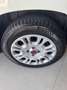 Fiat Panda Panda 1.2 EasyPower Lounge Bianco - thumbnail 10