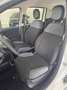 Fiat Panda Panda 1.2 EasyPower Lounge Bianco - thumbnail 12