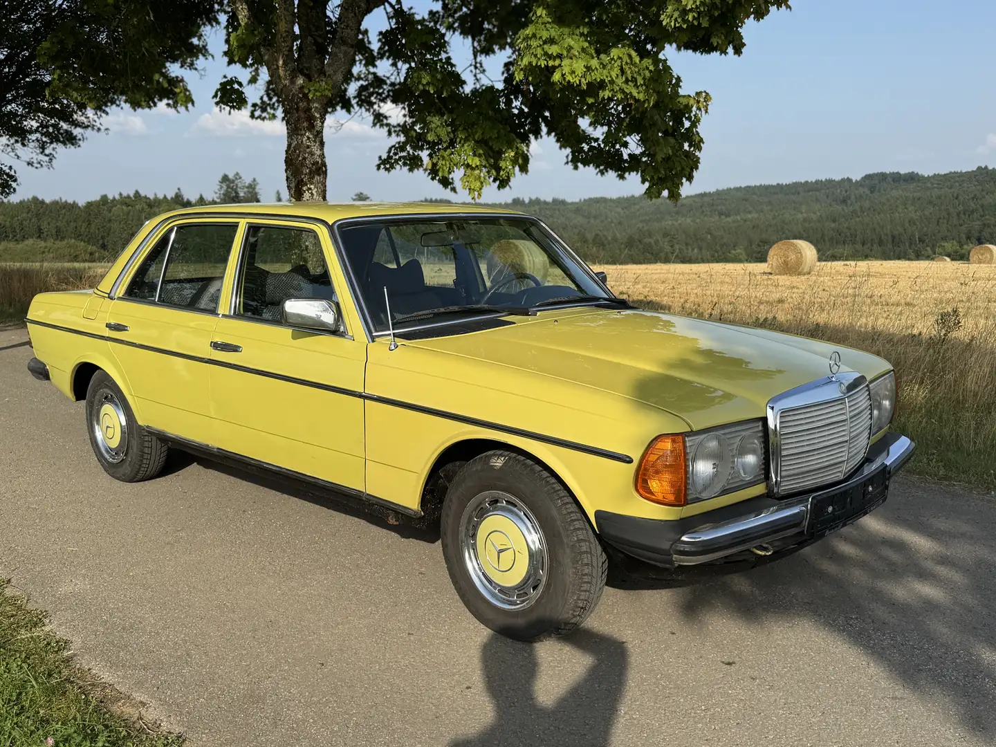 Mercedes-Benz 240 D - 1