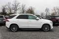 Mercedes-Benz GLE 350 de 4MATIC AMG-STYLING PANO AHK 21 ZOLL Blanc - thumbnail 31