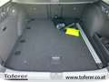 Volkswagen Passat Variant R-Line TDI DSG Weiß - thumbnail 9