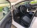SEAT Ibiza Weiß - thumbnail 10