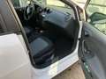 SEAT Ibiza Weiß - thumbnail 5