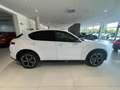 Alfa Romeo Stelvio 2.2 Turbodiesel 210cv AT8 Q4 Veloce Weiß - thumbnail 5