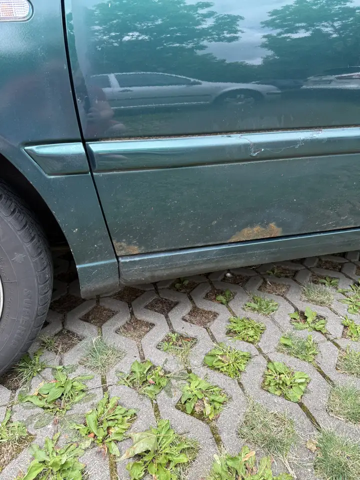 Volkswagen Golf 1.6 Family, foto 5