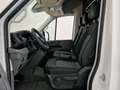 Volkswagen Crafter VW Crafter 35 T6 Kastenwagen L3H3 TDI Weiß - thumbnail 19